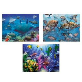 Obrázek z Obrázek 3D měnící 50x35cm - mořský svět (16) 